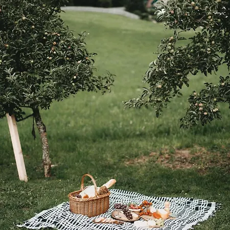 فندق Rosenhof 4*