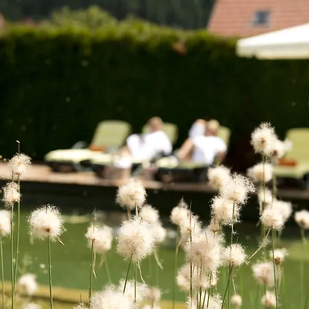 Roho Rosenhof Hotel Murau