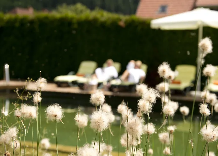 Rosenhof Hotel Murau